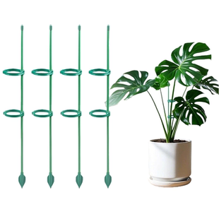 天堂鸟支撑杆专用防倒伏爬藤架植物龟背竹园艺三角梅支架固定神器