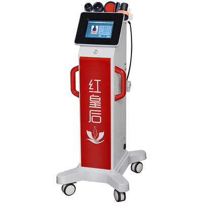 美容院dds生物电塑形腹包养生仪