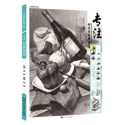 专注杨富素描静物一线教学成辉