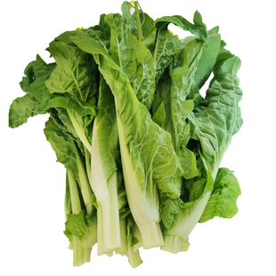 湖北露天时令蔬菜新鲜红菜苔白菜苔西兰苔大蒜苗现摘打霜蔬菜组合