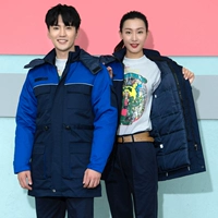 Раскрытие тибетского синего крови голубой (хлопковая вершина)