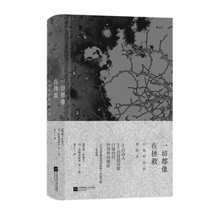 后浪正版现货 一切都像在拯救 叶赛宁茨维塔耶娃阿赫玛托娃爱情诗歌 俄国现代主义白银时代文学 外国诗歌文学书籍