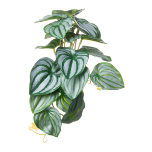 爬宠仿真热带雨林植物睫角陆龟守宫角蛙饲养盒爬宠缸树叶造景装饰