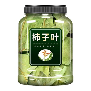 柿子叶250g中药材柿叶霜后柿子树叶新鲜干货粉叶茶泡水新货花茶