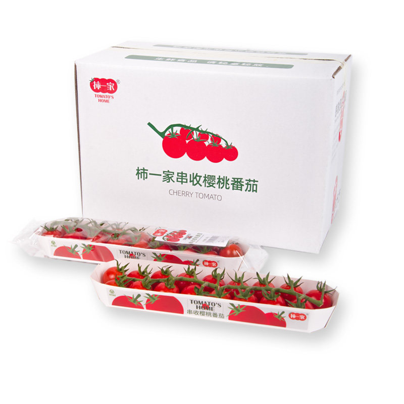 柿一家串收樱桃番茄千禧圣女果顺丰包邮生吃水果西红柿