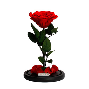 joyflower永生干玫瑰花束生日礼物高级感礼盒干花送女生朋友闺蜜
