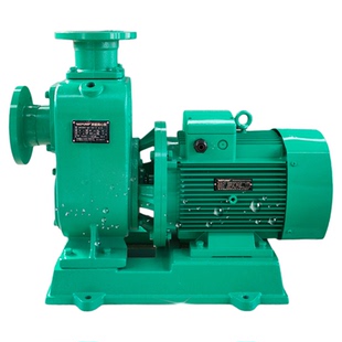 中威BPZ大流量自吸泵深井用河水自吸管道增压泵排罐水WLPUMP