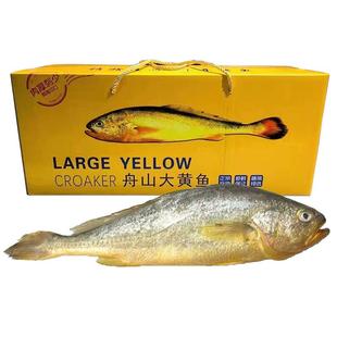 舟山深海大黄鱼礼盒送礼东海特产生鲜海鲜水产冰鲜新鲜一斤黄花鱼