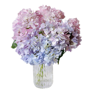 a级绣球鲜花云南基地直发水培大头绣球鲜切花粉色蓝色家用插花