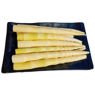 当季小竹笋新鲜春笋江西野生笋子清水笋尖火锅麻辣烫关东煮家商用