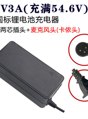 昂迪电子锂电DZL481005专用锂电池充电器4854.6V松吉台铃富日捷马