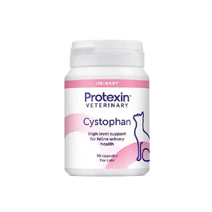 英国沙斯宠物多芬猫咪尿血尿路感染结石膀胱炎尿闭尿频猫沙斯多芬