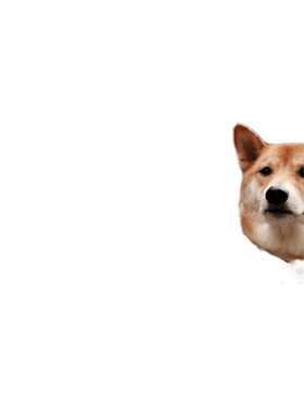 柴犬绅士都市型男穿搭指南