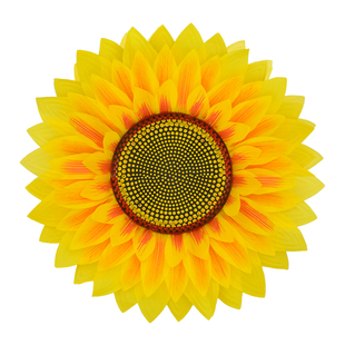 幼儿园向日葵道具手拿花舞蹈演出道具太阳花运动会入场道具跳舞花