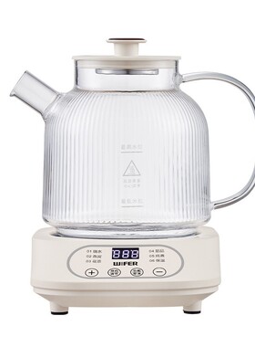 新款养生煎药壶烧水壶煮茶器烧水