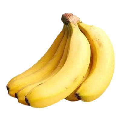 国家地标广东遁地雷香蕉香甜软糯