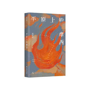 平原上的摩西 双雪涛代表作 电影《平原上的火焰》《我的朋友安德烈》原著 首刷限定附赠光栅卡+创作谈