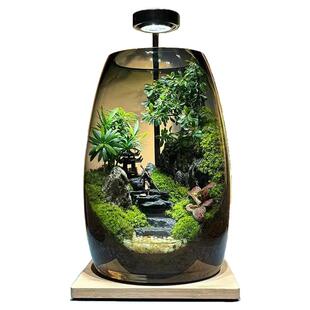 悟空微景观创意真植物苔藓绿植造景缸生态瓶办公室桌面高端送礼物