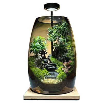 悟空微景观创意真植物苔藓