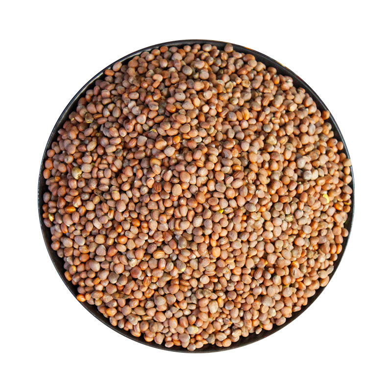 京皖 炒莱菔子10g 中药饮片 现抓现配 中药材抓配 官方旗舰店正品