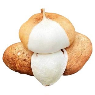 广西凉薯新鲜脆甜10斤沙葛白地瓜地萝卜农家红薯当季水果蔬菜整箱