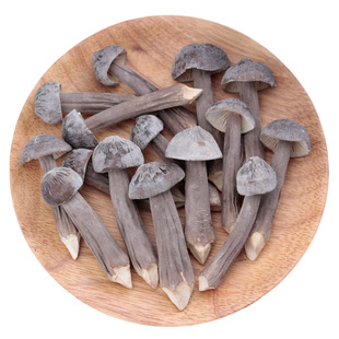 云南特产冻干黑鸡枞菌长根菇黑皮鸡枞不开伞嫩菇急速泡发100g