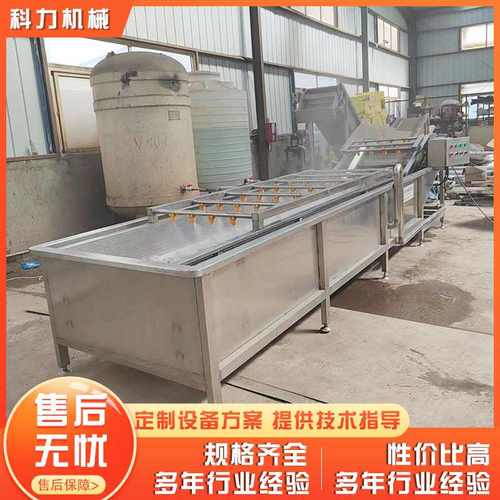 果蔬气泡清洗机苹果多种叶类气泡翻浪清洗设备自动酱菜清洗机