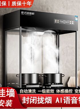 新飞立柜式抽油烟机免安装不挂墙厨房阳台家用大吸力一体吸油烟机