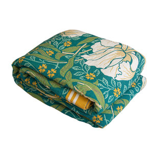 春夏田园风a类纯棉盖毯1.5米床绿色大花纱布床单四季双人空调被