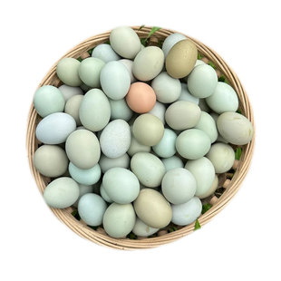 正宗农家乌鸡蛋散养绿壳乌骨鸡蛋绿皮土鸡蛋30枚礼盒装红心虫草蛋