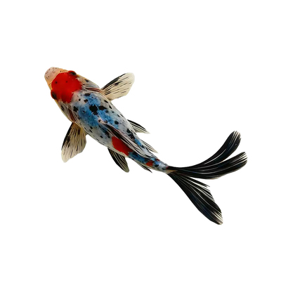 兰花草金冷淡水鱼缸好养耐活小金鱼红草金鱼长短尾草金活体观赏鱼