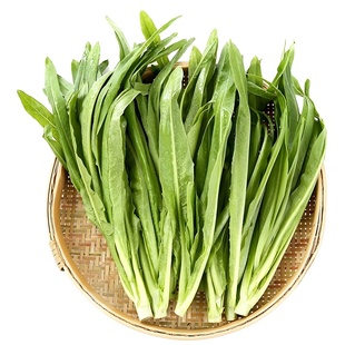 大棵油麦菜种子四季青菜种籽菜籽盆栽籽种菜苗秧苗春秋种孑米香