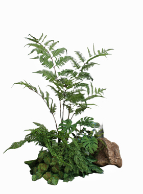 高端仿真绿植物室内蕨树造景组合