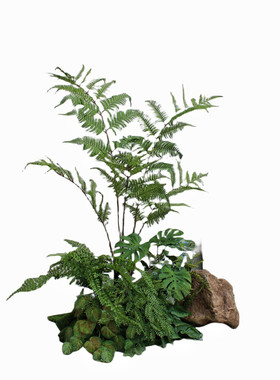 高端仿真绿植物室内蕨树造景组合