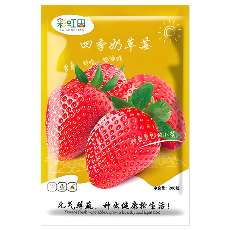 四季奶草莓种子水果种子