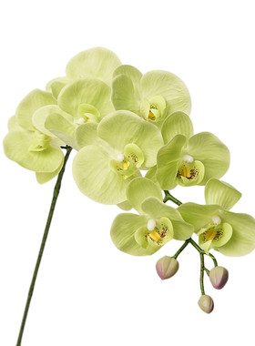 高品质餐桌假花桌花手感蝴蝶兰