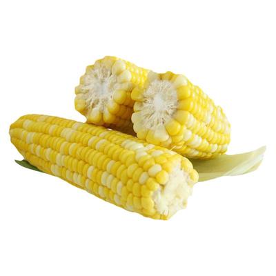 农科院超甜金银栗2号种子玉米