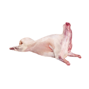 内蒙古锡林郭勒盟整羊烤全羊原切26斤整只年货礼盒草原羔羊肉送礼