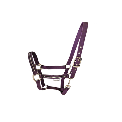 马术笼头马龙头带钻尼龙织带