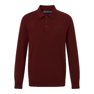 POLOWALK男式针织衫2025秋季新品男装纯色百搭休闲翻领打底衫上衣