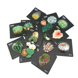 HOHO原创·热植冰箱贴克莱恩花烛彩叶芋秋海棠亚克力磁吸冰箱贴