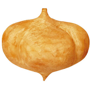 牧马山凉薯种子种籽孑水果地瓜白瓤香甜早熟苗秧种植沙葛土瓜红薯