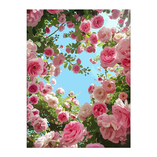 浪漫蔷薇花卉diy数字油画画填充填色唯美治愈手绘丙烯颜料装饰画