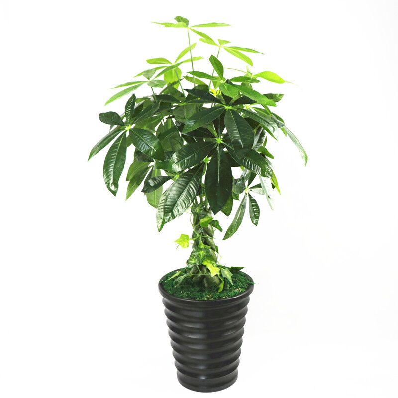 室内装饰田园风塑料花艺仿真植物