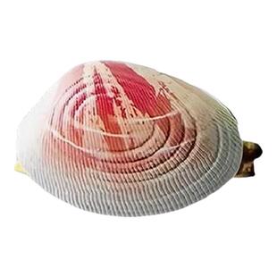 喷水蛤蜊玩具整蛊恶搞吸水按压仿真贝壳类儿童迷你滋水枪戏水男孩