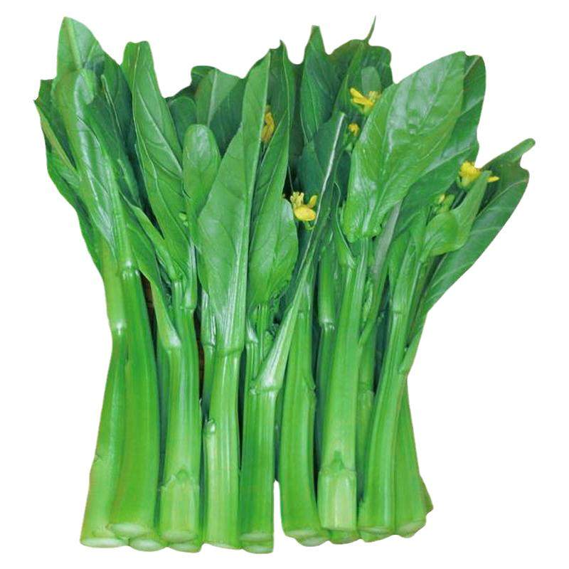 80天尖叶油青甜菜心种籽