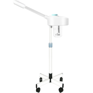 【泰东旗舰店】热喷仪美容院专用中药热喷蒸脸仪器蒸气机脸部美容