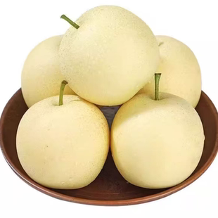 河北正宗皇冠梨子新鲜10斤水果鸭梨雪梨砀山梨翠冠梨当季整箱