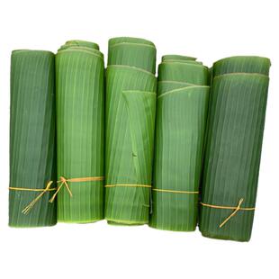 广西特产农家芭蕉叶新鲜现摘香蕉叶粽子糍粑菜肴摆盘糕点500克