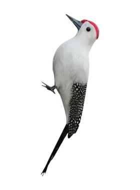 仿真羽毛啄木鸟摆件橱窗模型